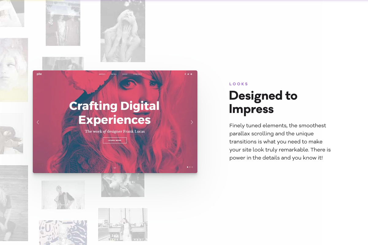 PILE - A WordPress Portfolio Theme, a WordPress Template by Pixelgrade (Photo 3 of 5)