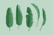 Banana leaves, an Illustration by Dunia (Thumbnail 1 of 2)