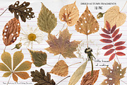 Desk Remains Paper Collage PNG Kit, an Object Graphic by DreamoraArt (Thumbnail 2 of 11)