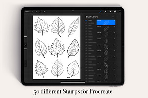 50 Leaves Procreate Stamps