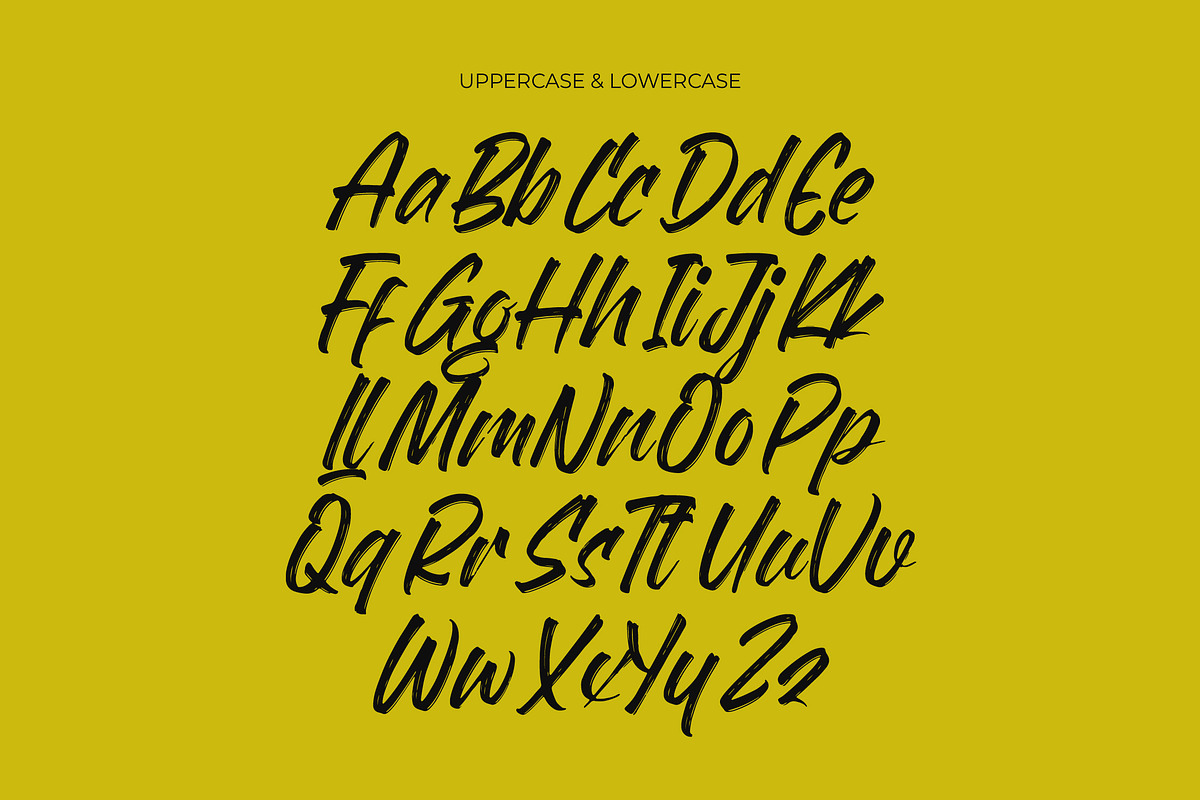 Flackin Bruska Modern Brush Font, a Script Font by Letterena Studios Script (Photo 10 of 15)