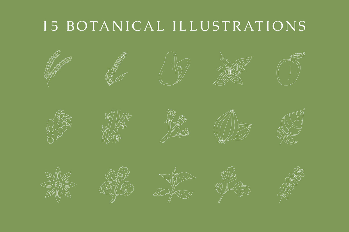 Botanical Illustration & Logo Bundle, a Branding & Logo Template by Lightsense (Photo 2 of 8)