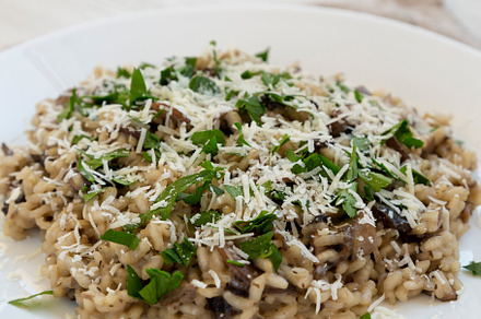 Homemade mushroom risotto on a white plate, side view. Copy spac, a Food & Drink Photo by LiudmylaChuhunova