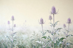 Misty Thistle Field Wallpaper, a Decorative Illustration by Virgo Studio