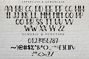 Place Love, a Script Font by FreshTypeINK (Thumbnail 8 of 8)