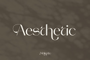 Molgeth - Aesthetic Sans Serif, a Sans Serif Font by Variatype (Thumbnail 4 of 15)