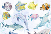 Watercolor set of underwater life, an Animal Illustration by Watercolor arts (Thumbnail 3 of 8)
