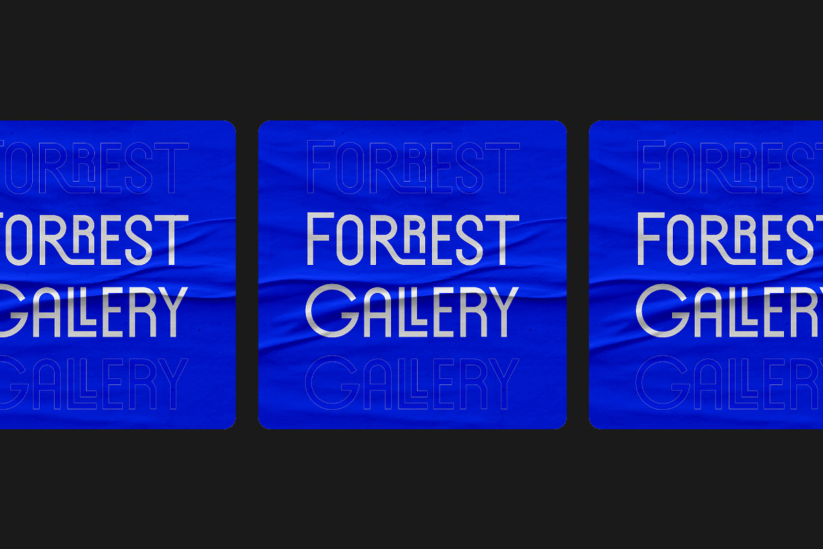 Forrest Gallery Modern Display Font, a Sans Serif Font by Lettertype Studio (Photo 2 of 15)