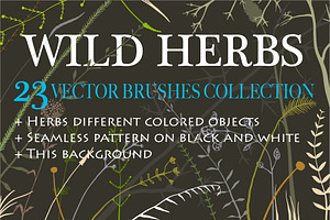 Wild Grass & Herbs Vector Brushes