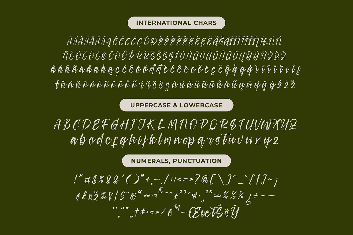 Ungkar Scripta Modern Brush Font, a Script Font by stylishtype.co (Photo 18 of 20)