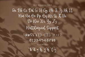 Humbleside A Brush Script