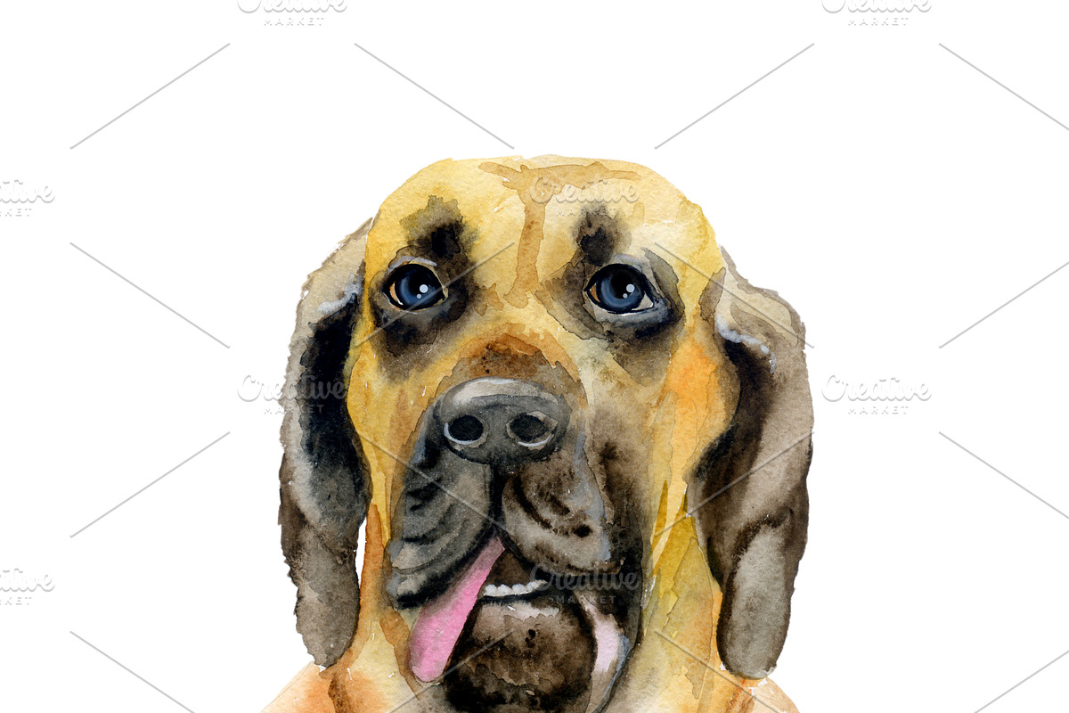 Watercolor Dogs Mega Big Bundle, an Illustration by Dneprstock (Photo 27 of 60)