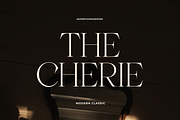 SNS - Chateu Noir, a Serif Font by Sans & Sons (Thumbnail 3 of 9)