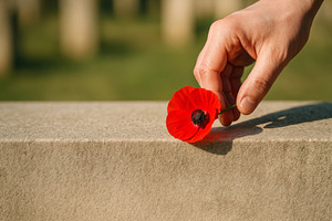 Poppy flower laid on a tombstone for, a Photo by Dvoevnore photos