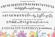 Allegory: a fun and bouncy script, a Script Font by Missy Meyer (Thumbnail 2 of 7)