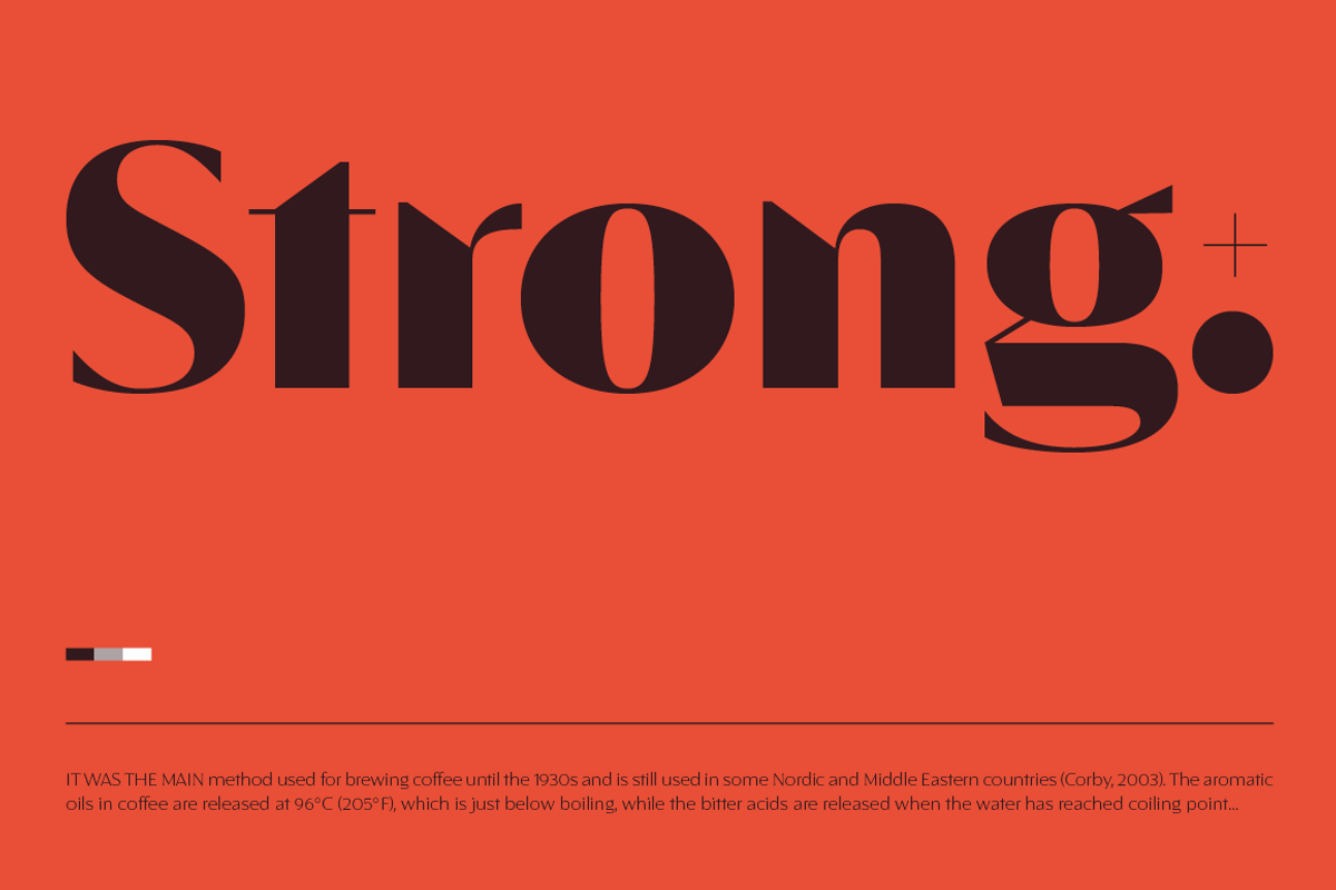 Águila, a Sans Serif Font by Latinotype (Photo 10 of 15)
