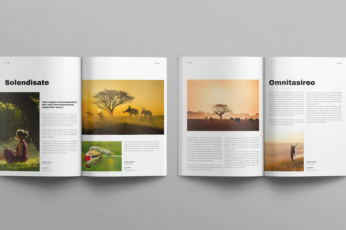 Nature Magazine Template, a Magazine Template by E-Type (Photo 5 of 7)