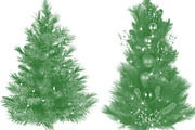 100 Tree Brush Stamps Photoshop, a Brush Add-On by Chipshpow Graphics (Thumbnail 5 of 8)