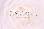 Wheelie, a Script Font by akrtype (Thumbnail 6 of 6)