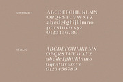 Shavina Serif Typeface, a Serif Font by Yukita Creative (Thumbnail 7 of 9)