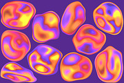 Neon Light Drops Transparent PNG Se, an Object Graphic by Kseniya-Omega (Thumbnail 2 of 5)