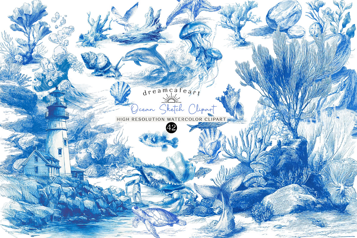 Seashell Ocean Sketch Clipart, an Illustration by DreamCafeArt (Photo 1 of 6)