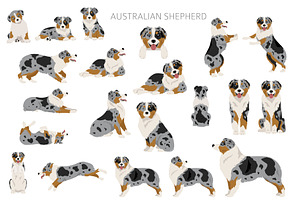 Australian Shepherd Dog Clipart