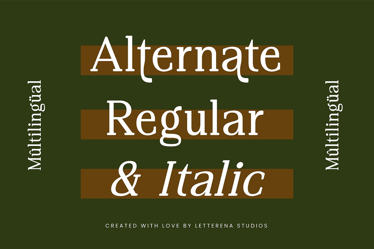 Regime Misfiles Serif Oldstyle Font, a Serif Font by Letterena Studios (Photo 12 of 15)