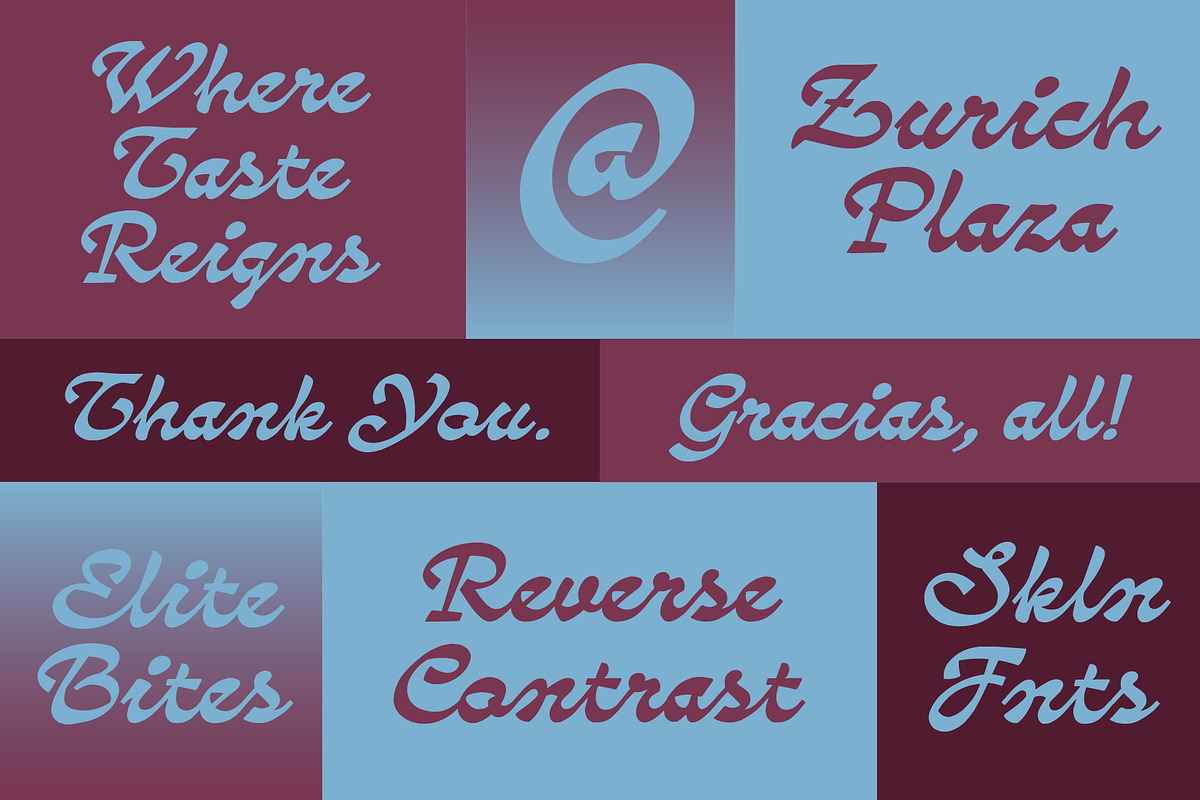 SFC Zurich Plaza, a Script Font by Skilline Supply Co. (Photo 7 of 10)