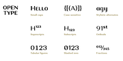 Alethia Next, a Sans Serif Font by Pepper Type (Thumbnail 9 of 14)