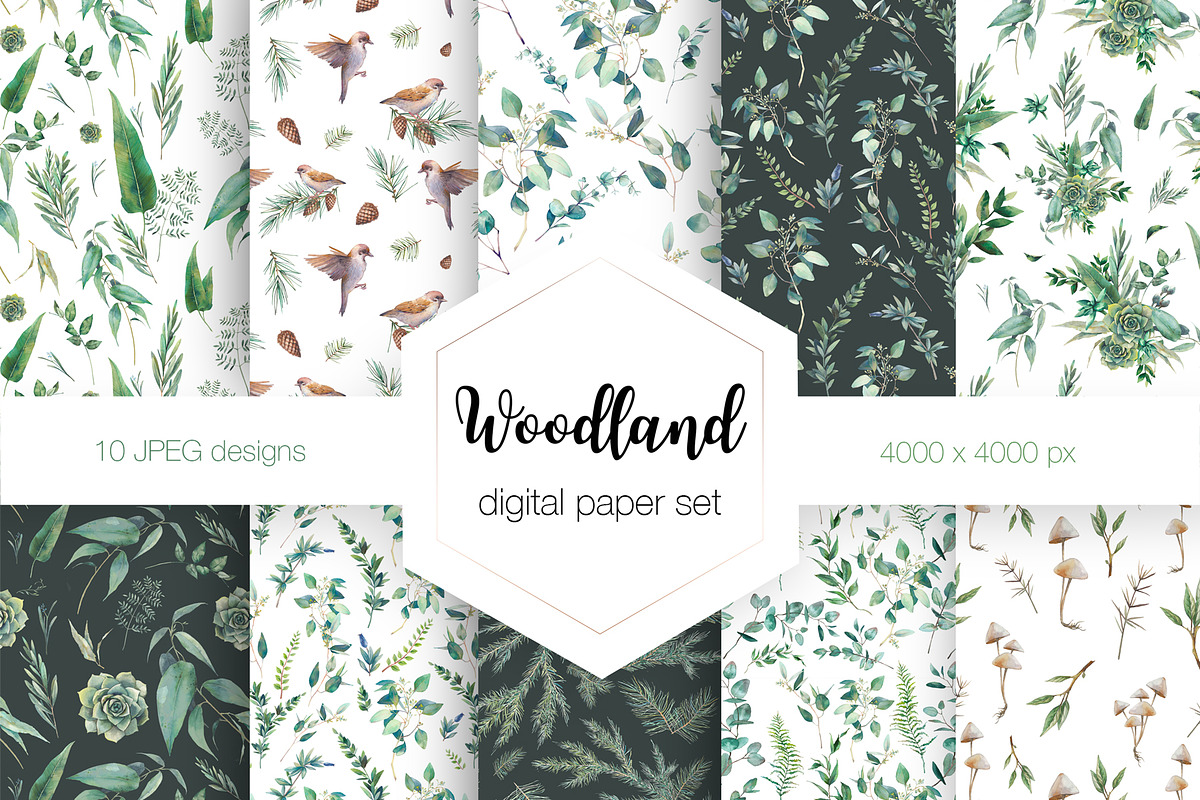 Woodland digital paper set, a Pattern Graphic by Eisfrei (Photo 1 of 5)