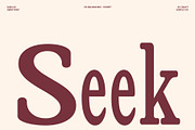 CS Delmar Mix, a Serif Font by Craft Supply Co. (Thumbnail 2 of 8)