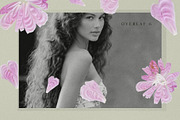 Petals Botanical Overlay Kit & Paper, an Object Graphic by Allure Art (Thumbnail 14 of 22)