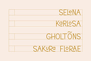 Lorena Typeface, a Sans Serif Font by CCS Type (Thumbnail 20 of 21)