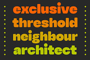 YNF Toyka | Display sans serif, a Sans Serif Font by YNF (Thumbnail 9 of 15)