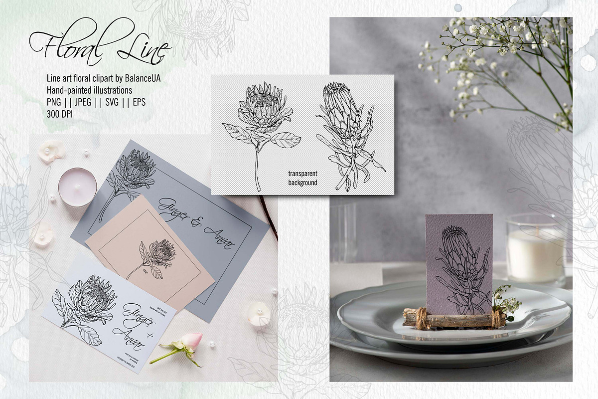 Floral Line Art Clipart, an Illustration by BalanceUA (Photo 4 of 6)