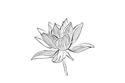Lilies and Lotus Florals, an Object Graphic by VictoriaKStudio (Thumbnail 5 of 10)