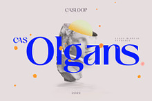 Cas Olgans Elegant Display