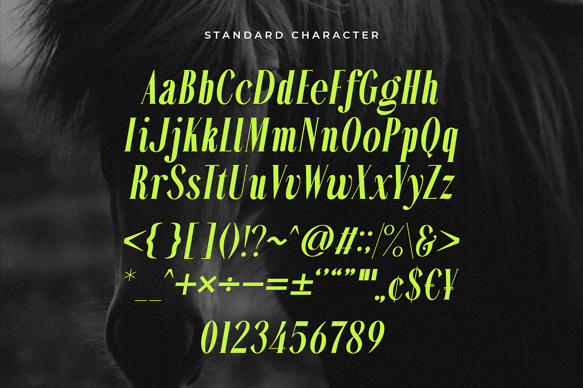 Alterosa - Italic serif font, a Serif Font by Almeera Std (Photo 3 of 6)