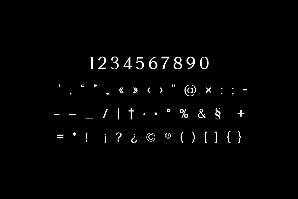 Stylebooks Typeface Serif Font, a Serif Font by UICreative (Photo 7 of 13)