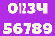 CS Ragout Mix, a Sans Serif Font by Craft Supply Co. (Thumbnail 3 of 8)