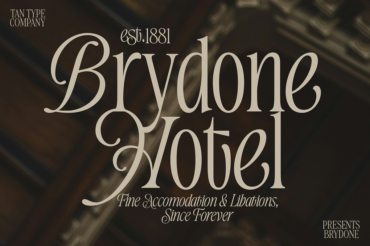 TAN-BRYDONE, a Font by TanType (Photo 1 of 16)