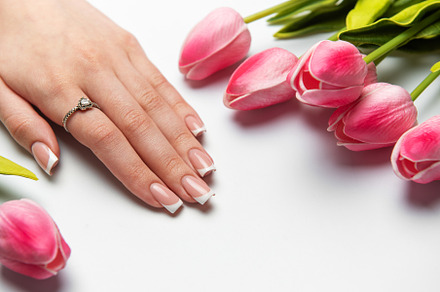Woman showing french manicure near pink tulips on white backgrou