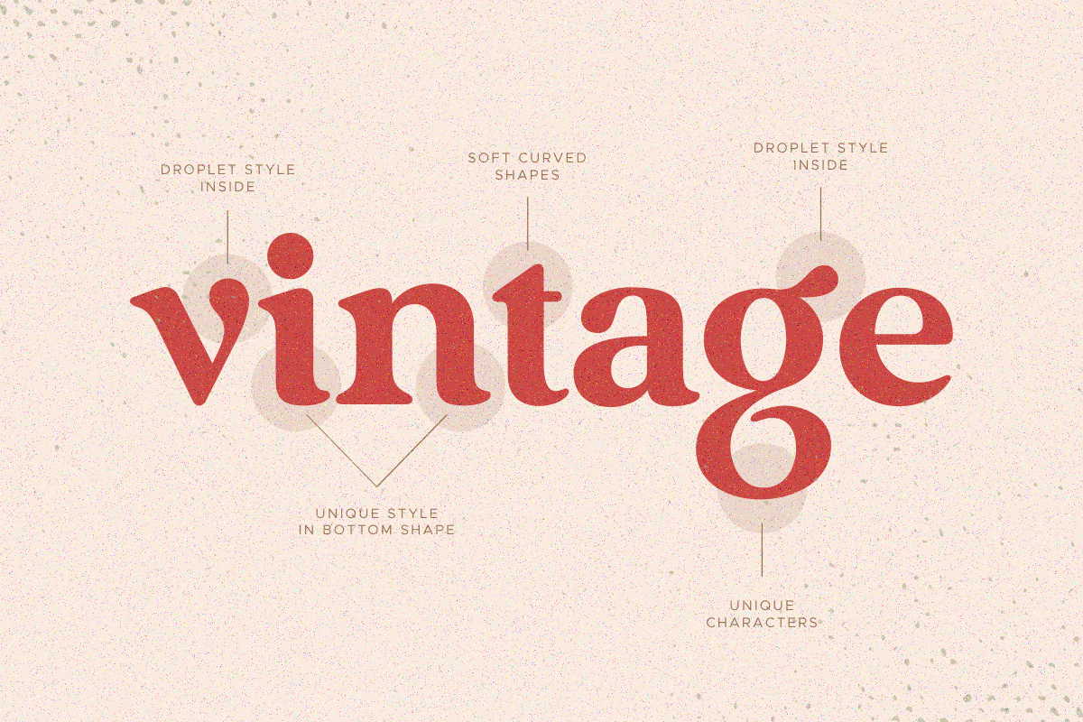 Vintage - Retro Serif Font, a Serif Font by Sensatype (Photo 9 of 16)