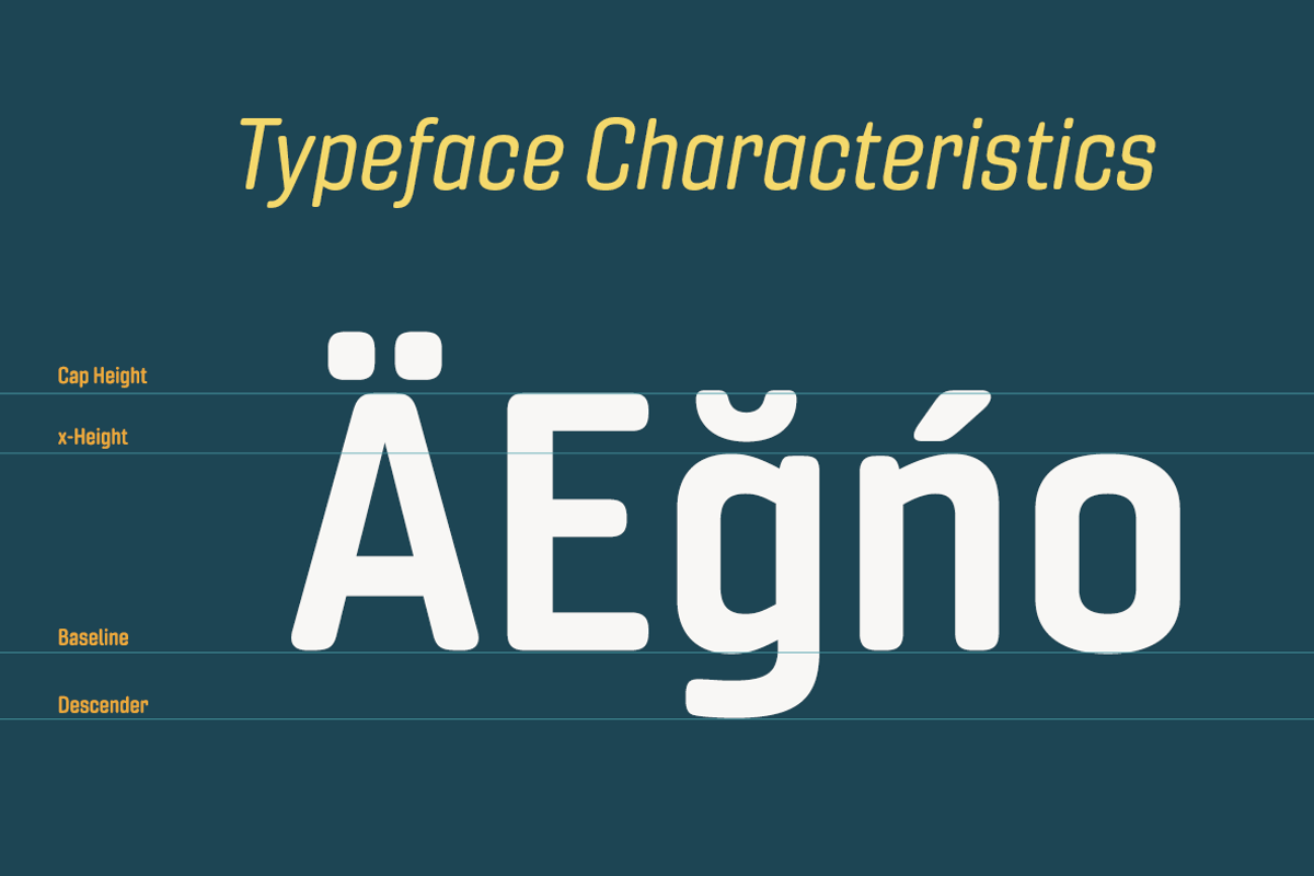 Gineso Soft, a Sans Serif Font by insigne (Photo 2 of 6)