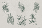 Coniferous Forest - vctr line art, an Illustration by Bee_in_a_Nest (Thumbnail 2 of 3)