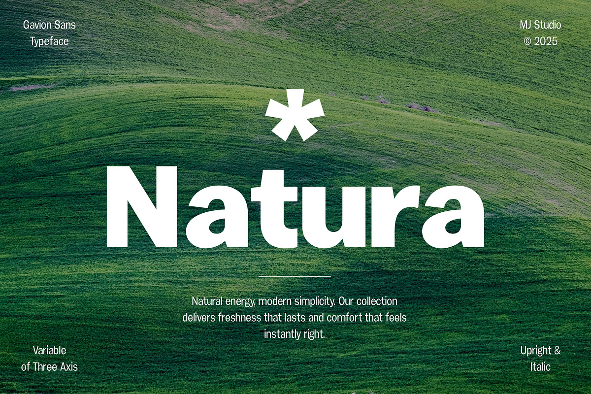 Gavion - 55 Font, a Sans Serif Font by MjStudio31 (Photo 16 of 16)