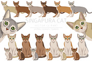 Singapura cat, an Animal Illustration by pet design shop (Thumbnail 1 of 6)