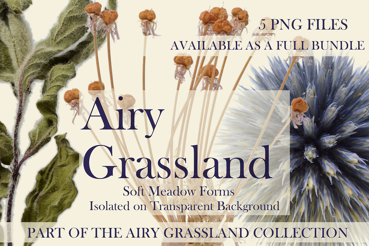 Airy Grassland — Soft Meadow Forms, an Object Graphic by Aga Silva (Photo 1 of 4)