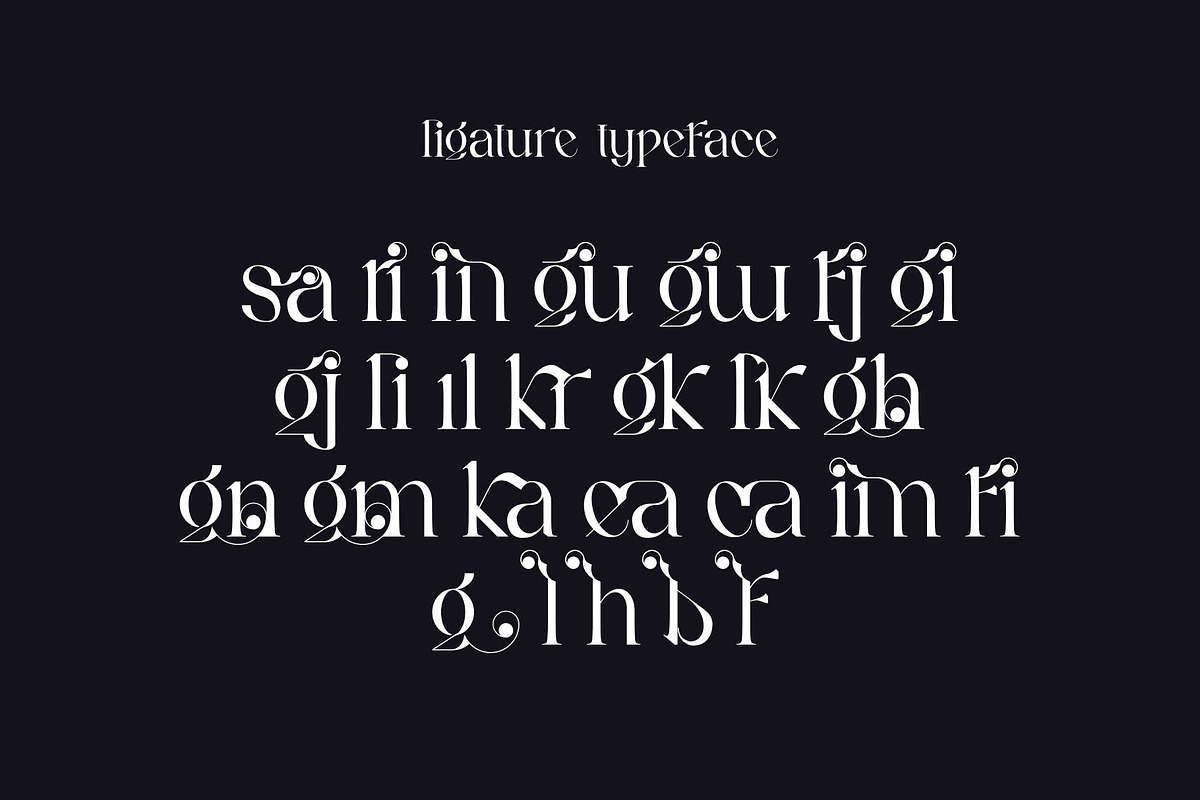 Kariin Ligature Serif Typeface, a Serif Font by Humaira_std (Photo 10 of 11)